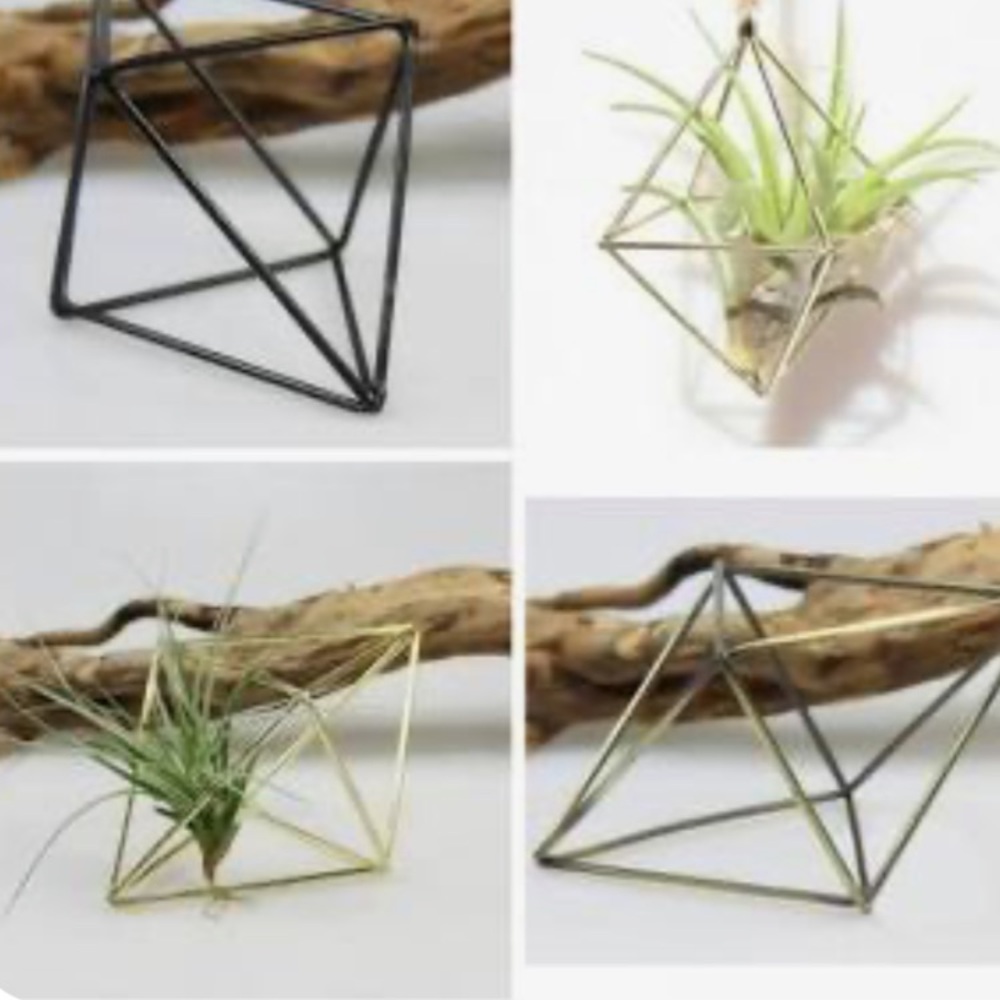 Set of Geometric Air Plant Holders - for those that love their plants ๐ - Picture 2 of 13